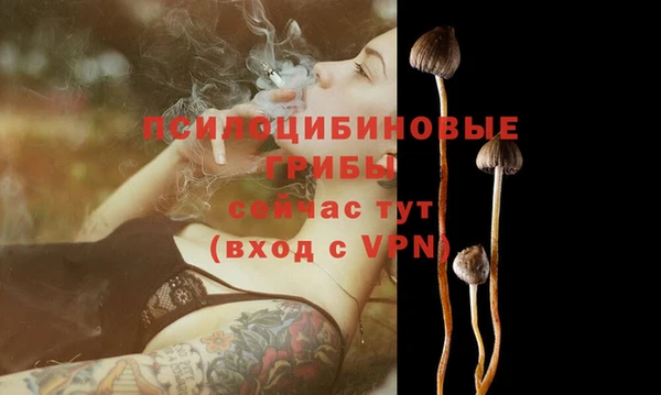 MESCALINE Богородицк